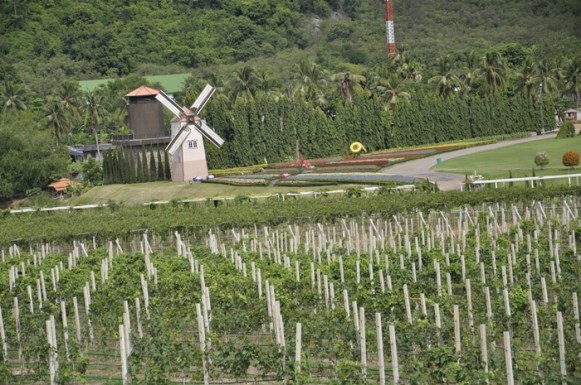 Silverlake Winery