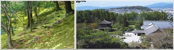 Moss Garden dan Pemandangan Dari Atas Bukit Ginkakuji