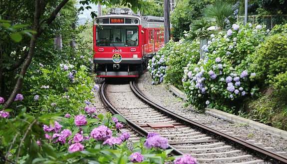 Hakone Tozan Railway (Photo By : japanguide.com)