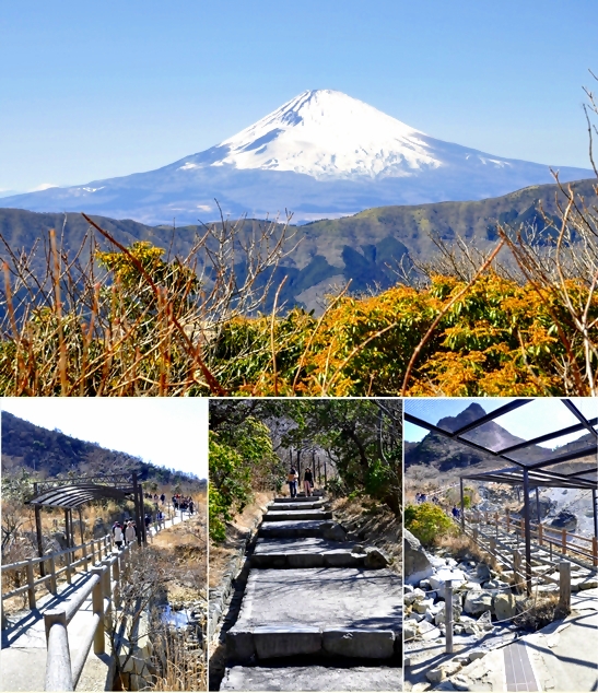 Jalur Owakudani Natural Trail dan pemandangan Fuji dari treknya