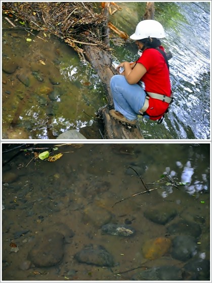 Memberi makan ikan yang tidak kelihatan