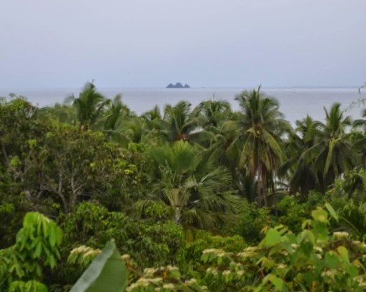 Pemandangan dari viewing deck Jazz Souvenir Shop