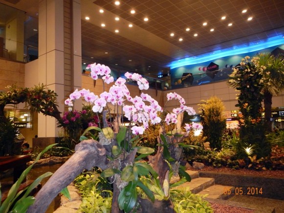 Salah Satu Sudut Orchid Garden