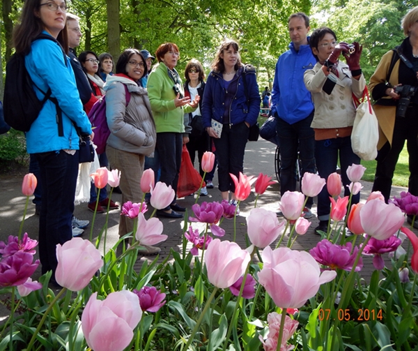 Free Guided Tour di Keukenhoff