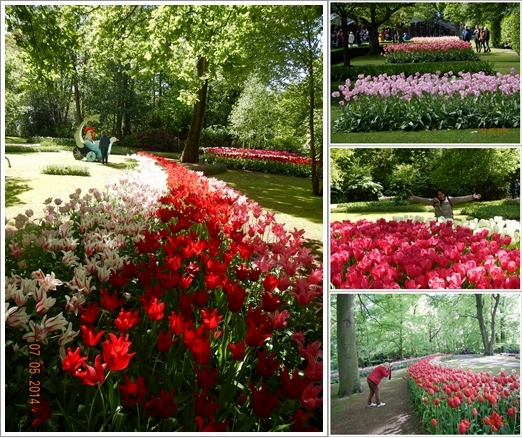 Berbagai sudut Keukenhoff