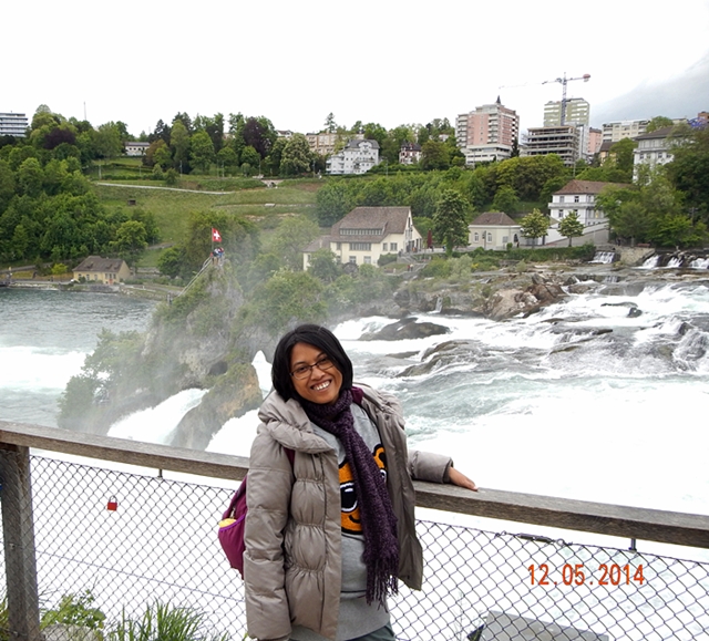 Viewing Platform Rhinefalls