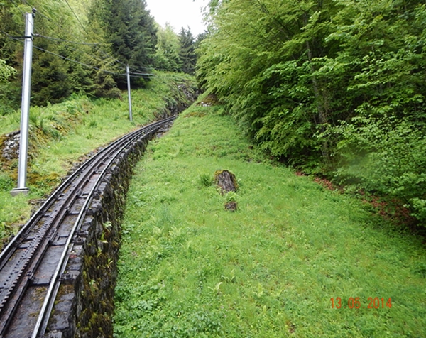 Pemandangan Awal Biasa Saja