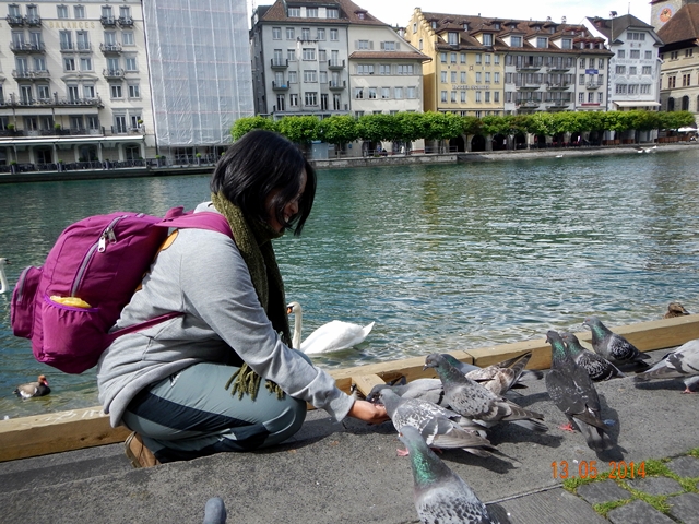 Memberi makan burung dara di tepi sungai Reuss