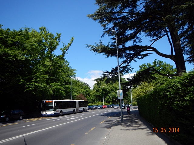 Jalan Menuju Palace Of Nations