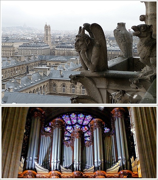 Salah satu patung Gargoyles di menara Notre Dame (atas), Organ Notre Dame (bawah). Photo by : pinterest.com
