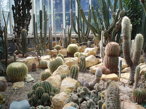 Saah satu sudut Jardin Botanique