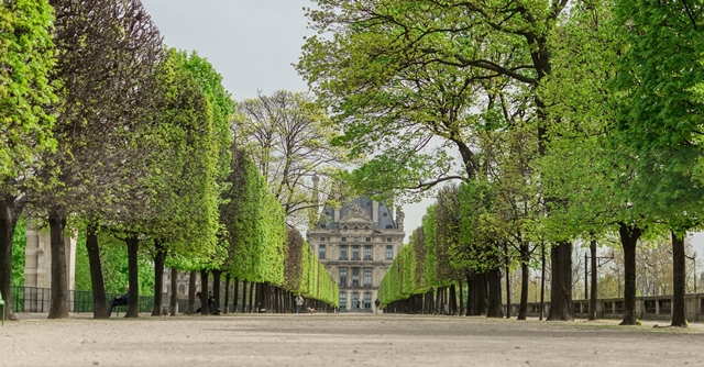 Salah satu sudut Jardin des Tuileries